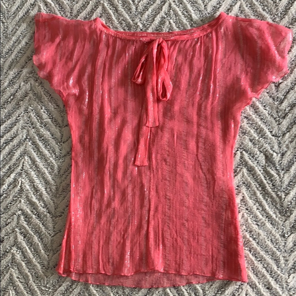 Flirty Sheer Silver Threaded Blouse